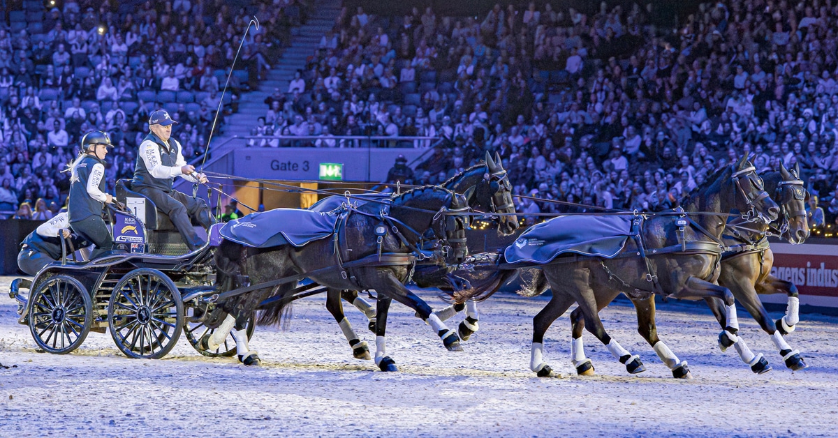 A man driving a 4-in-hand team of horses in an indoor arena.