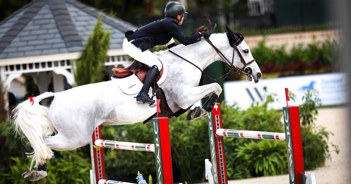 A man jumping a fence in Florida on a grey mare.
