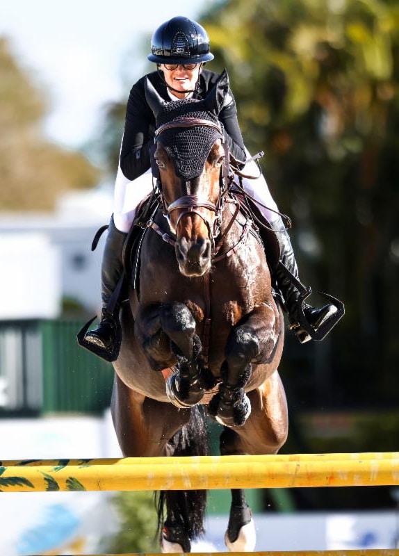 A woman jumping a bay horse over a fence in Florida.