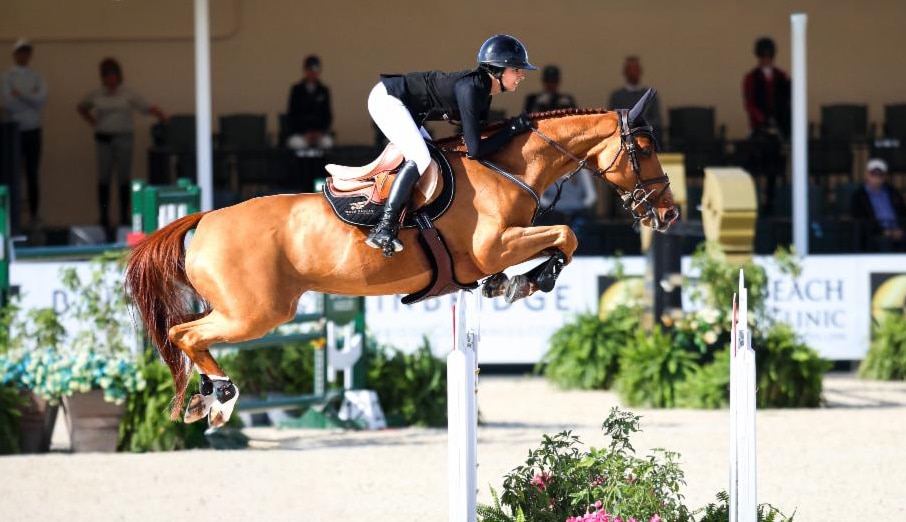 A woman jumping a chestnut horse over a fence in Florida.