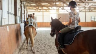 Horses and riders during a lesson in an indoor arena.