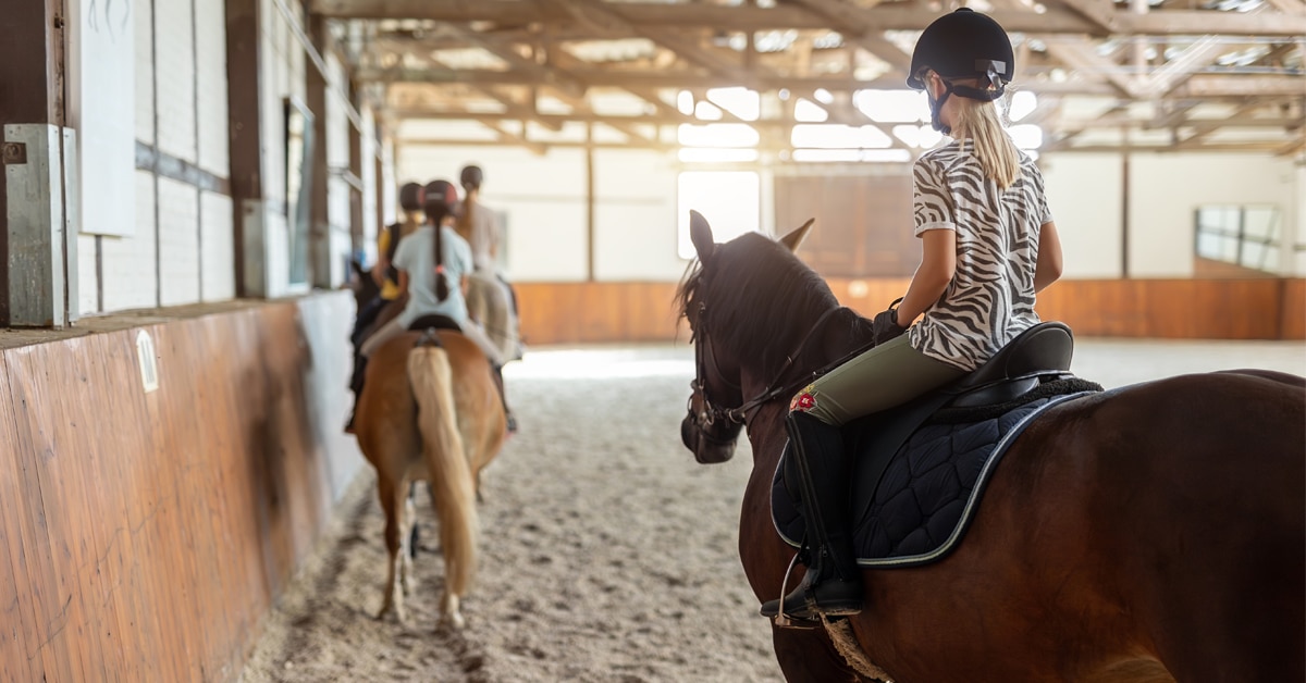Horses and riders during a lesson in an indoor arena.