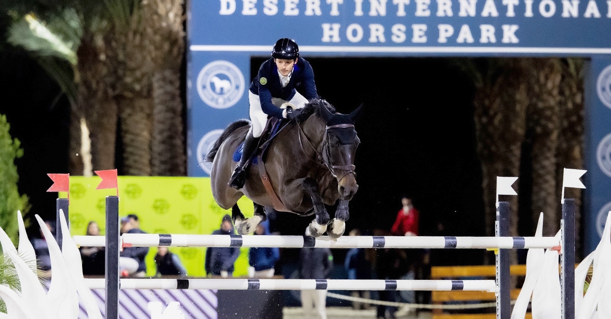 A man jumping a dark bay horse over a fence in California.
