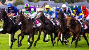 A group of horses and jockeys racing.