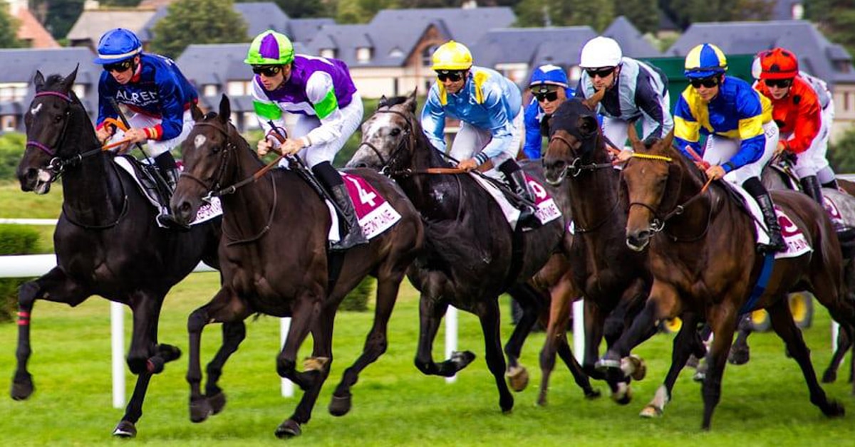 A group of horses and jockeys racing.