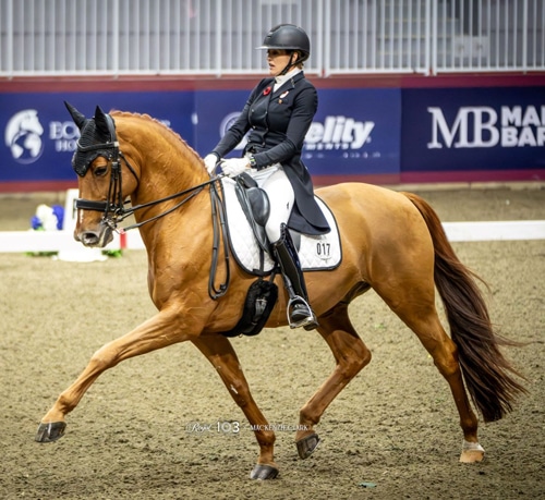 A woman riding a chestnut dressage horse at the Royal.