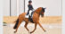 A woman riding a chestnut dressage horse in an arena.