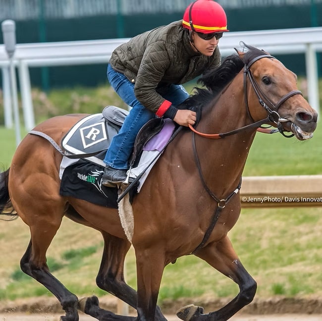 An exercise rider galloping a racehorse.
