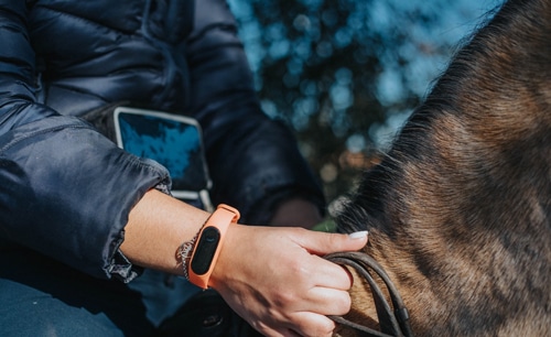 Close-up of a rider's hands holding the reins.