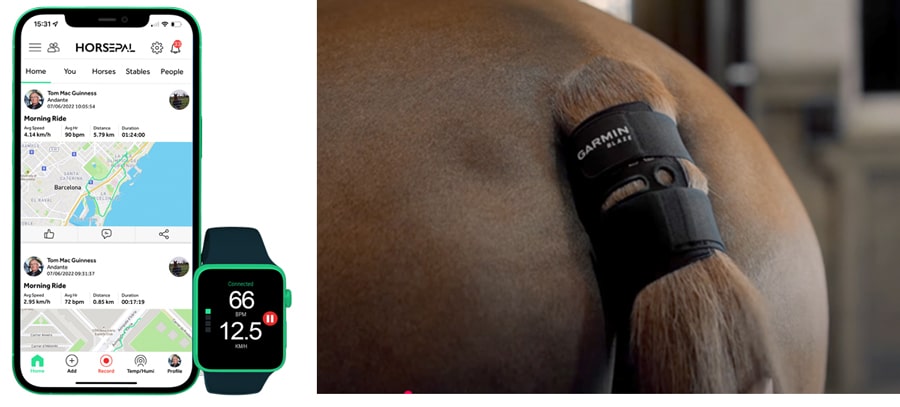 A phone app; a tail wrap.