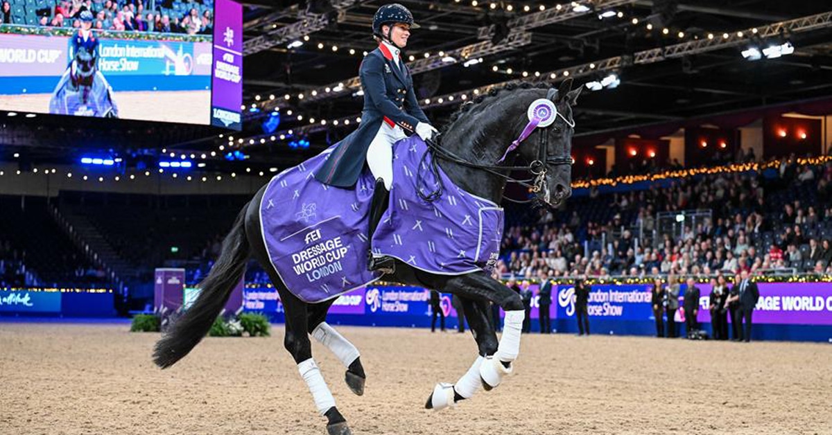 A woman on a black dressage horse during a victory lap.