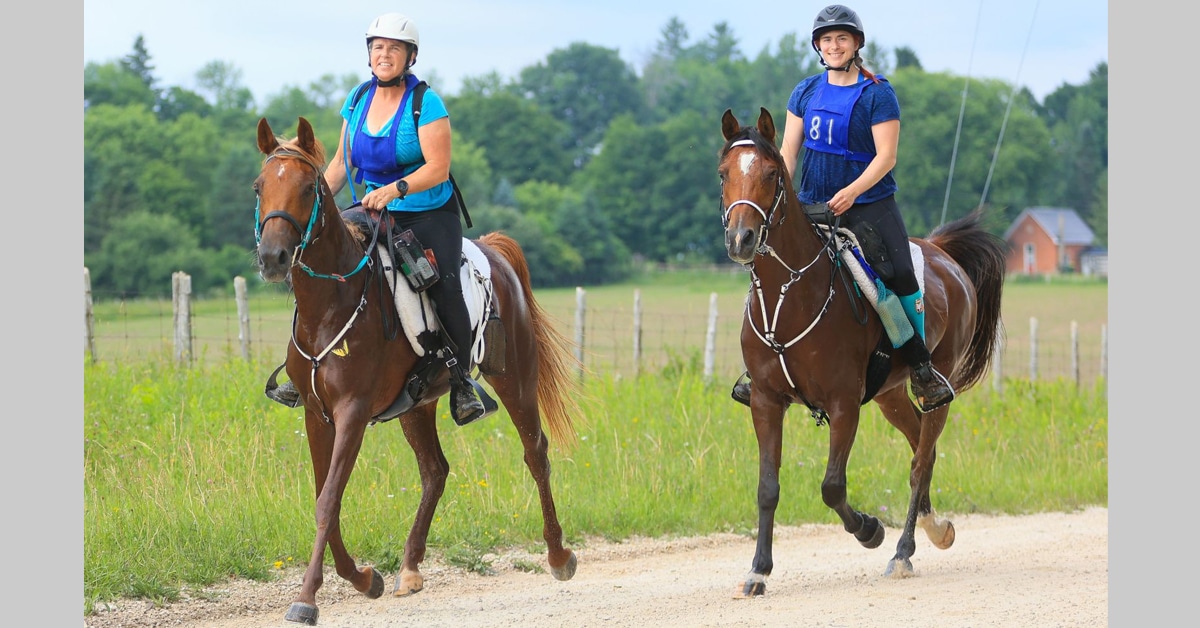 Two endurance riders on horses trotting along a trail.
