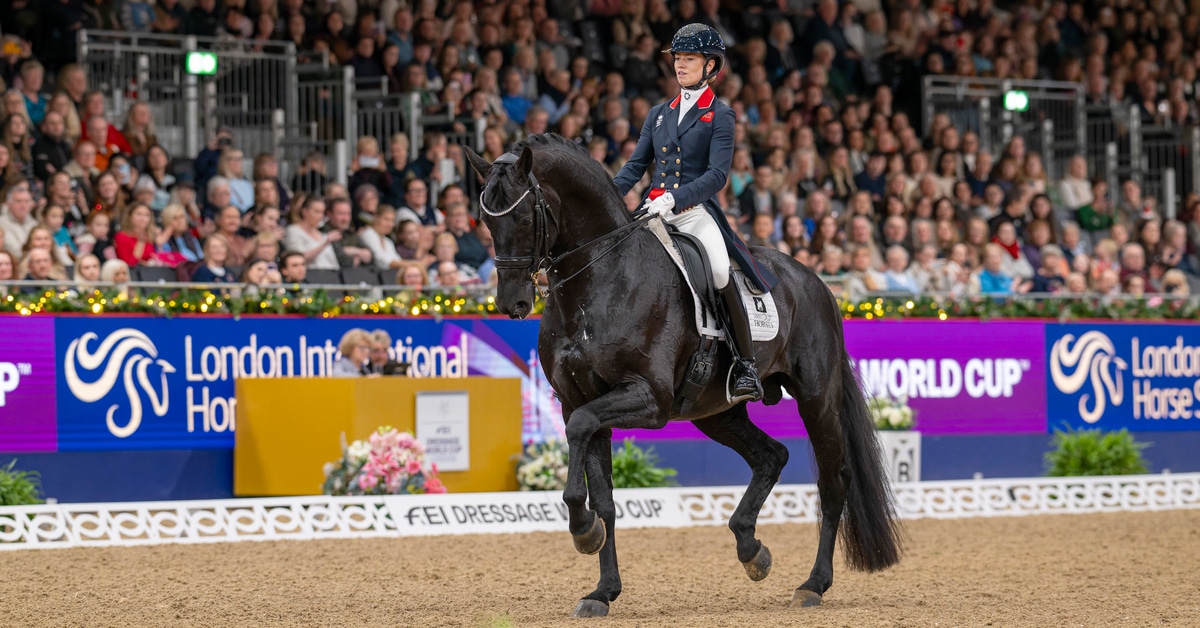 A woman riding a black dressage horse in an arena.