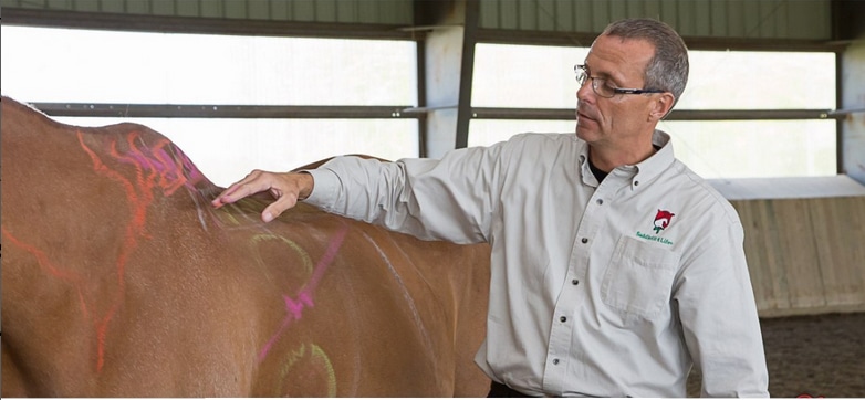 A man examining a horse's back.