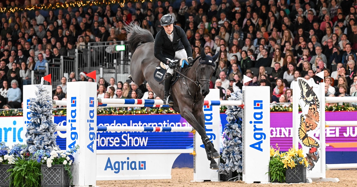 A man on a bay horse jumping a fence in London.