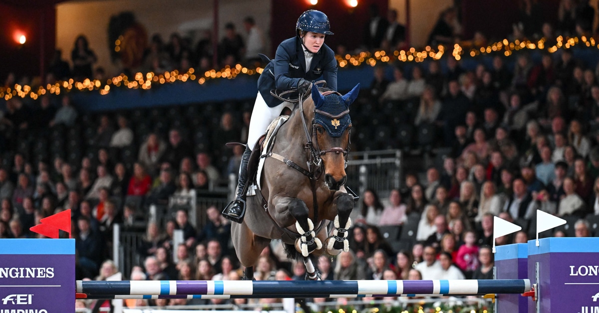 A woman jumping a bay horse over a fence in London.