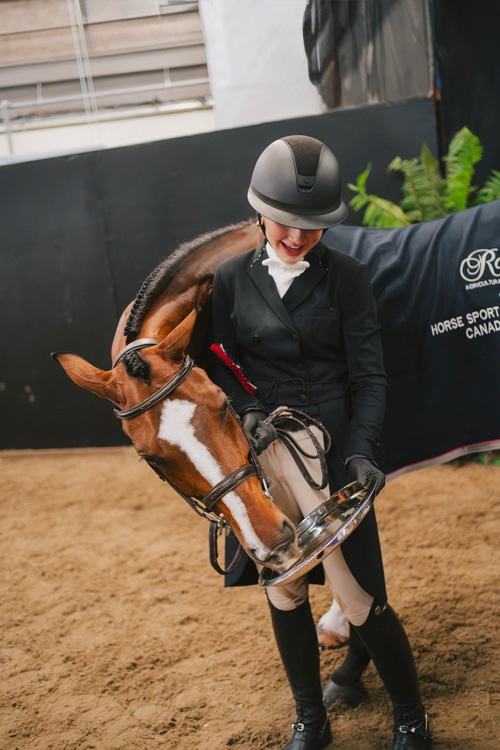 A bay horse nuzzling a silver platter held by a teen girl.