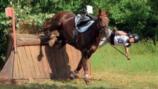 A person falling off a horse over a cross-country fence.