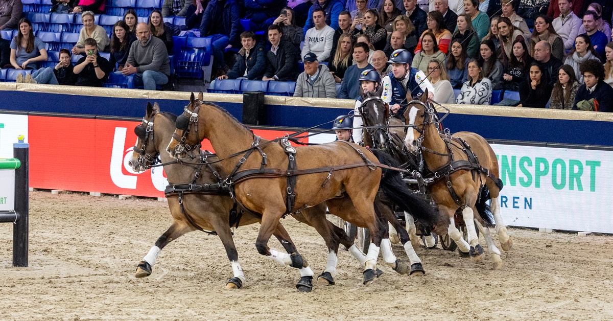 A man driving a team of four horses in an arena.