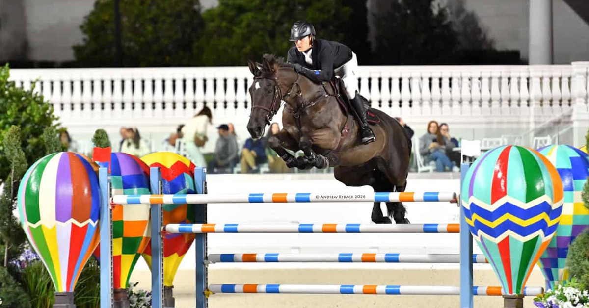 A man jumping a dark bay horse over a fence at WEC-Ocala.