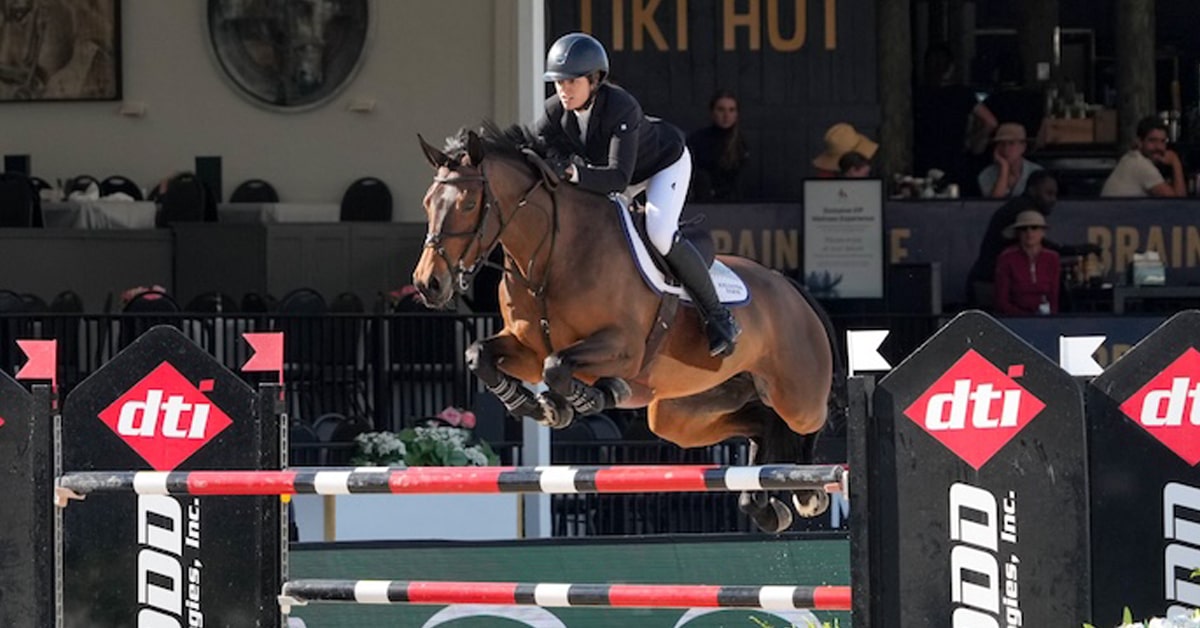 A young woman jumping a bay horse over a fence in Florida.