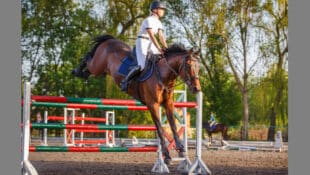 A horse and rider landing over a fence.