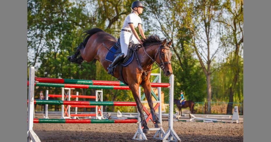 A horse and rider landing over a fence.