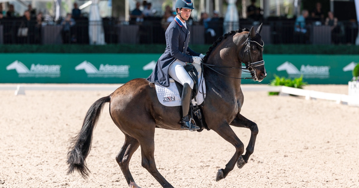 A man riding a bay dressage horse in an arena in Florida.