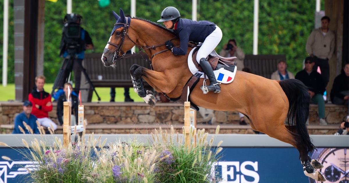 A woman jumping a bay mare over a fence in Spain.