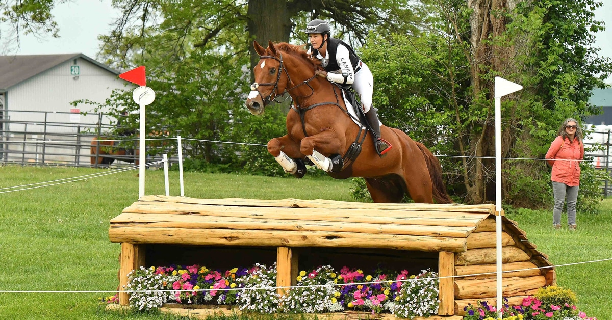 A woman jumping a cross-country fence on a big chestnut horse.