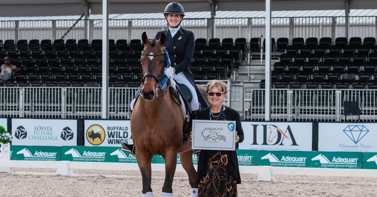 A woman on a bay dressage horse during a presentation.