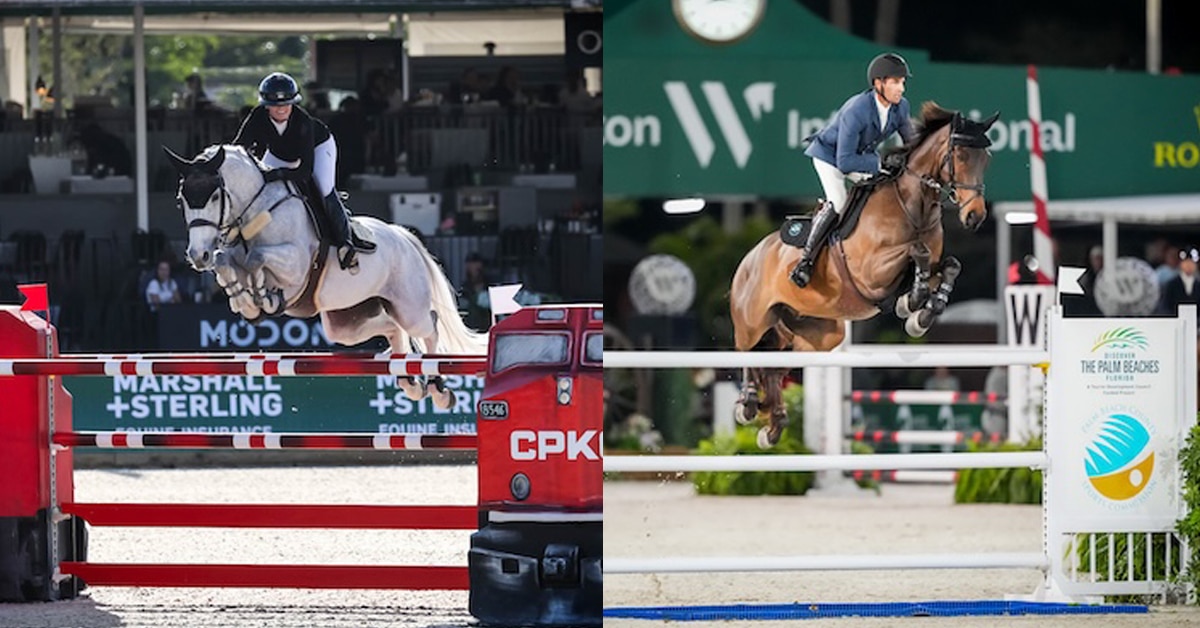 Side-by-side shots of a woman jumping a grey horse and a man on a bay.