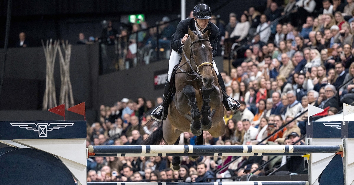 A man on a dark bay horse jumping a fence in Basel.