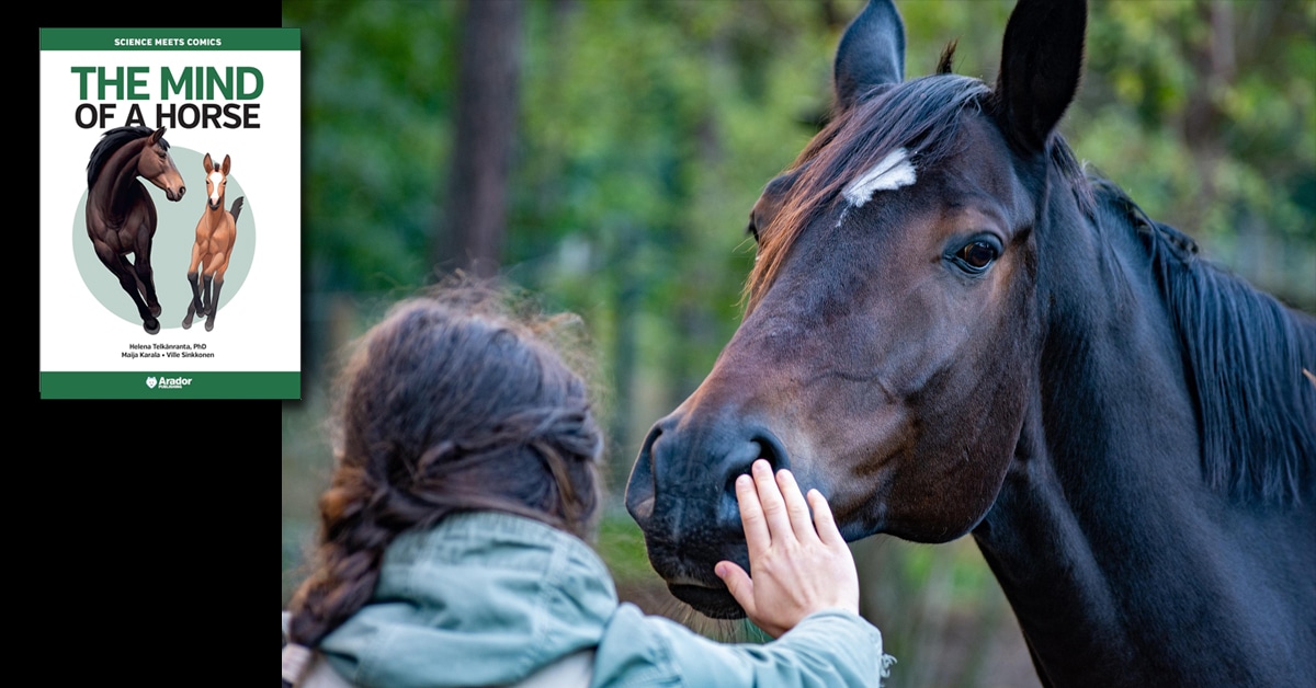 A book cover; a girl patting a horse.