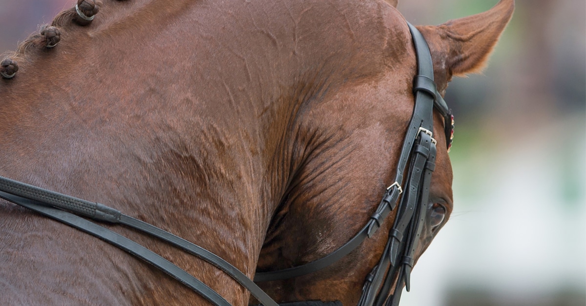 Thumbnail for Only 20% of Abuse Reports Merit Investigation by FEI