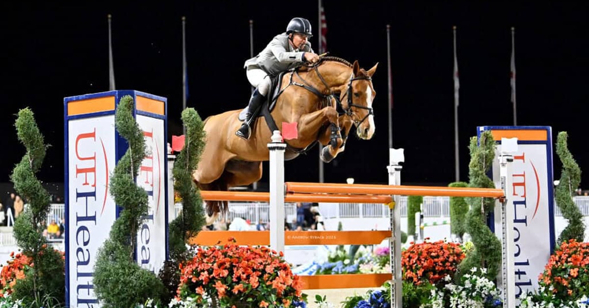 A man riding a chestnut horse over a fence in Ocala.