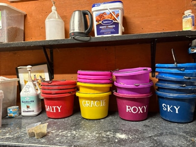 Colourful buckets in a feed room.