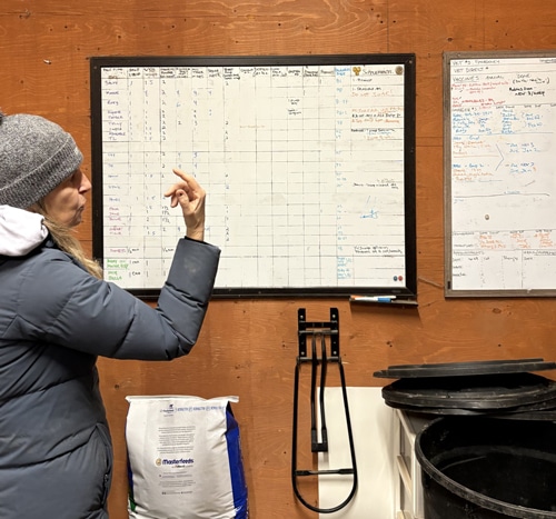 A woman explaining a white board in a barn.