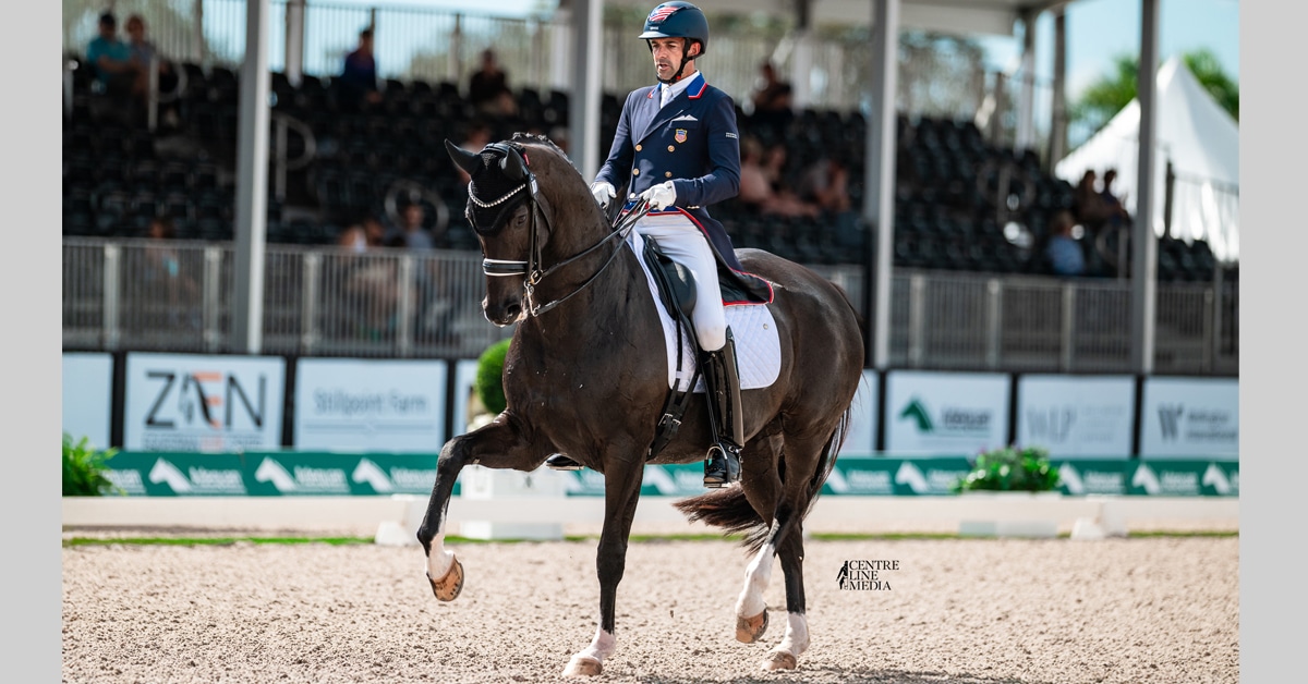 A man riding a dark bay dressage horse during a test.