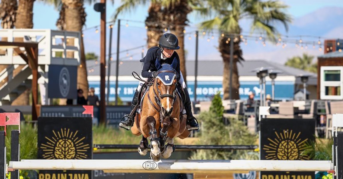 A woman jumping a fence in California on a bay horse.