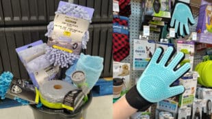 A bucket with car washing supplies; a dog grooming mitt.