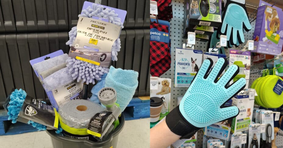 A bucket with car washing supplies; a dog grooming mitt.