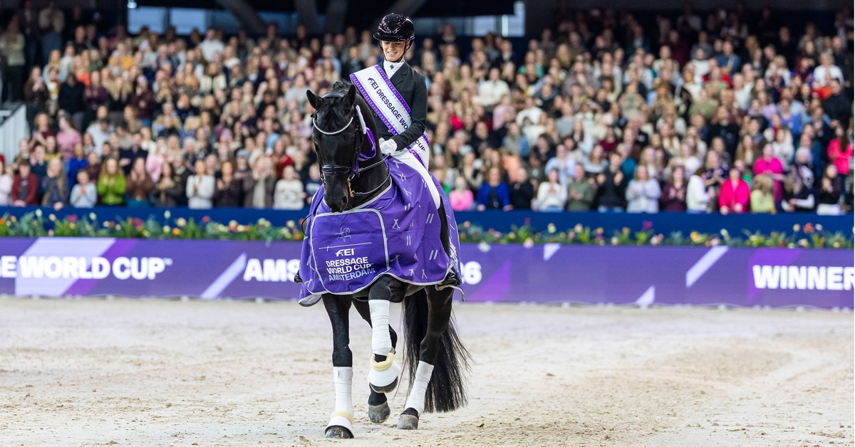 A woman riding a black stallion in a dressage arena during a victory lap.