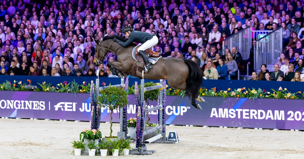 A man jumping a bay horse over a fence in Amsterdam.