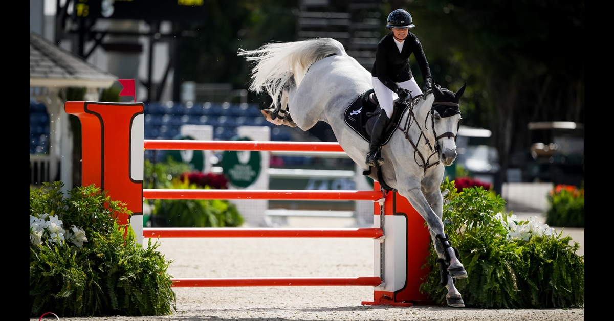 A woman jumping a grey horse over a fence in Florida.