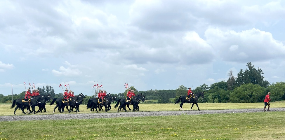 Riders and horses heading out to a performance.