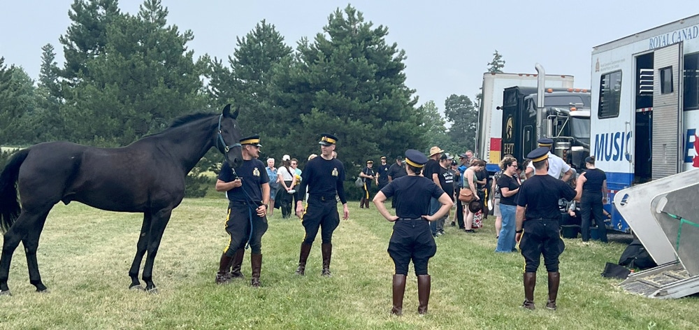A group of people preparing to load a horse on a trailer.