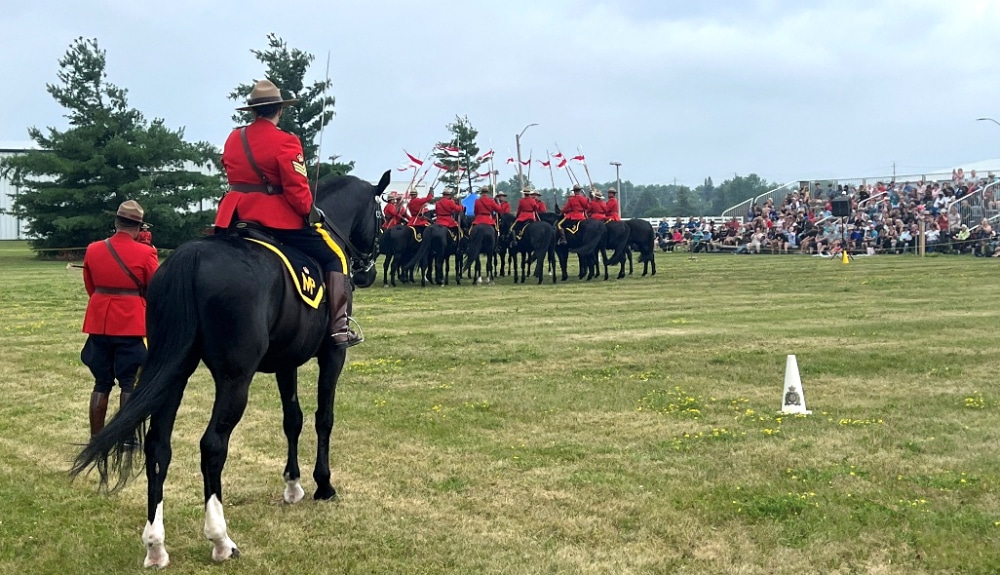 A rider on a black horse, watching a performance.
