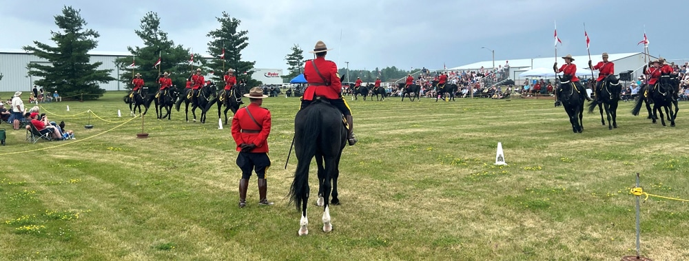 An officer and a rider watching a performance.