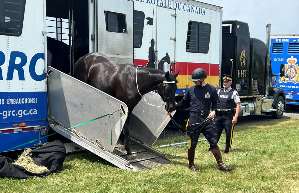 A man leading a horse out of a trailer.